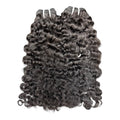 Burmese curly